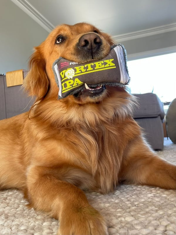 Cycle Dog - Dog Toys